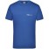 color:royal